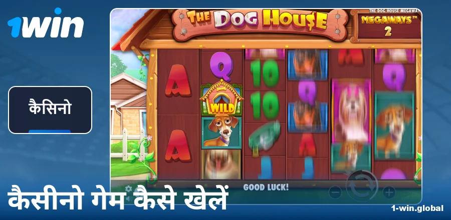 1Win IN कैसीनो गेम्स गाइड