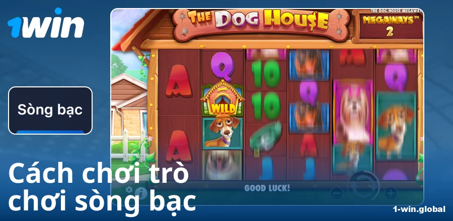Hướng dẫn cách chơi tại sòng bạc 1Win VN